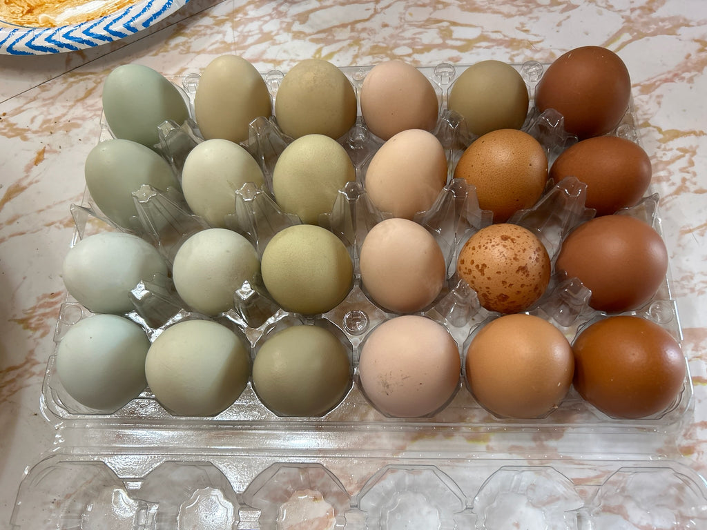 Pasture Raised Eggs-Dozen