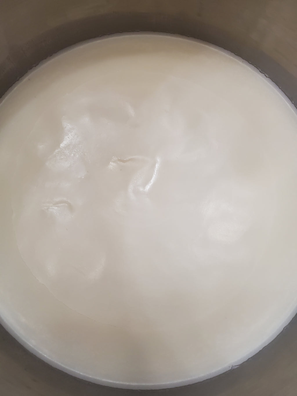 Tallow-16oz