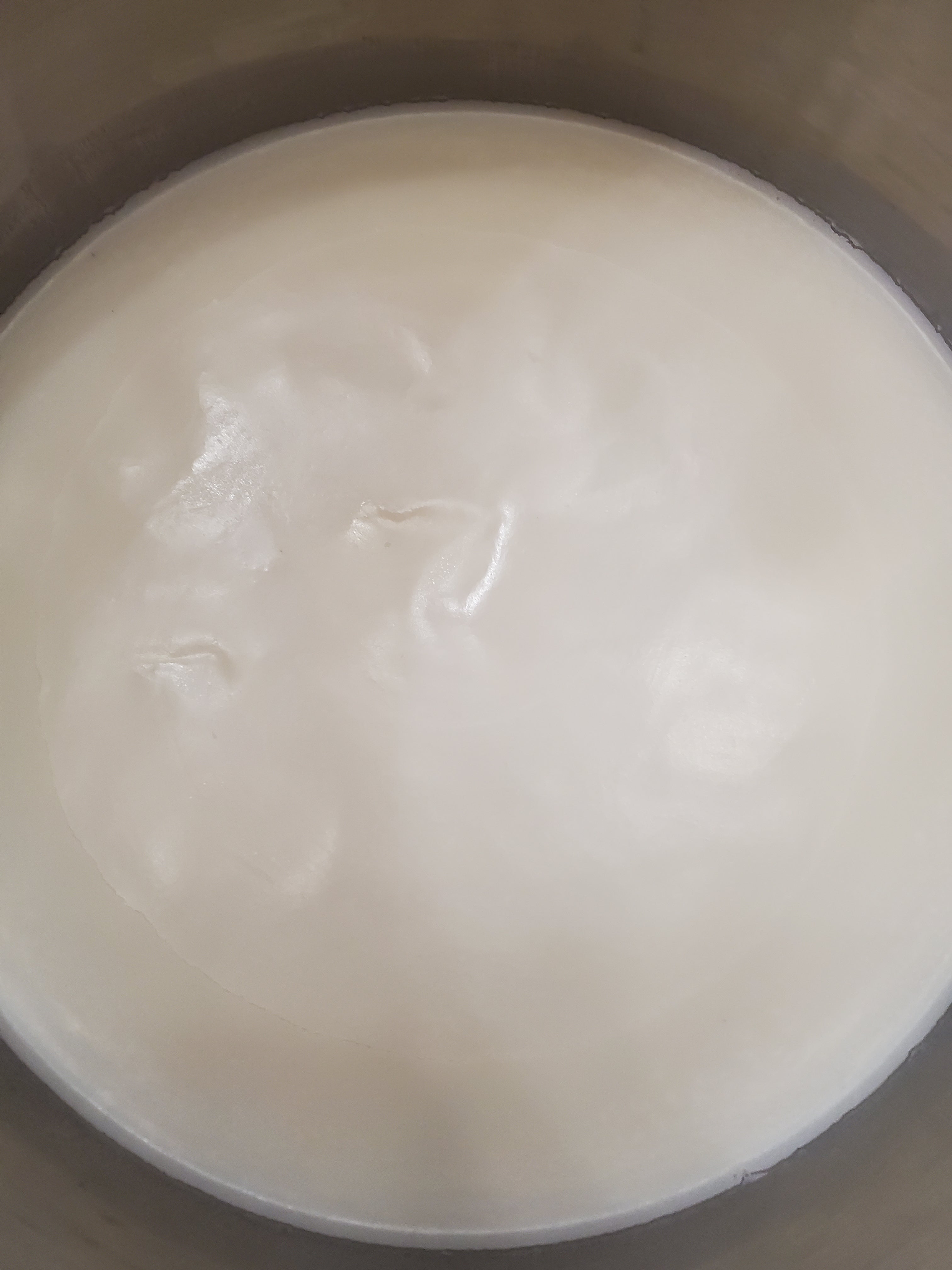 Tallow-16oz