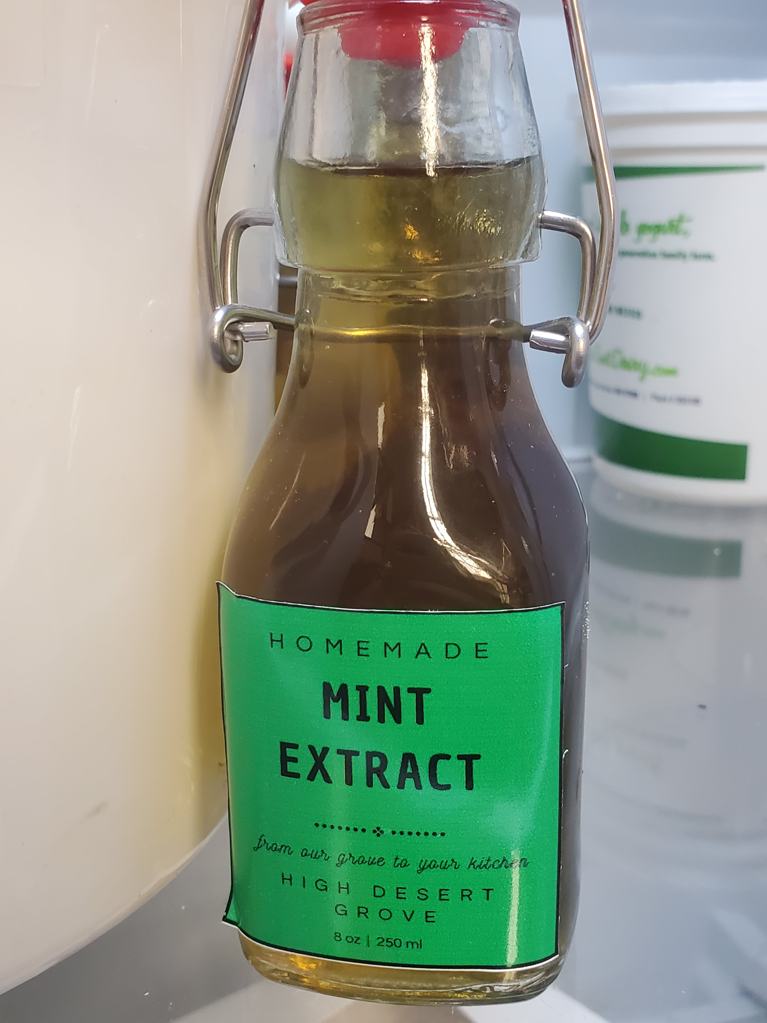 Mint Extract homemade