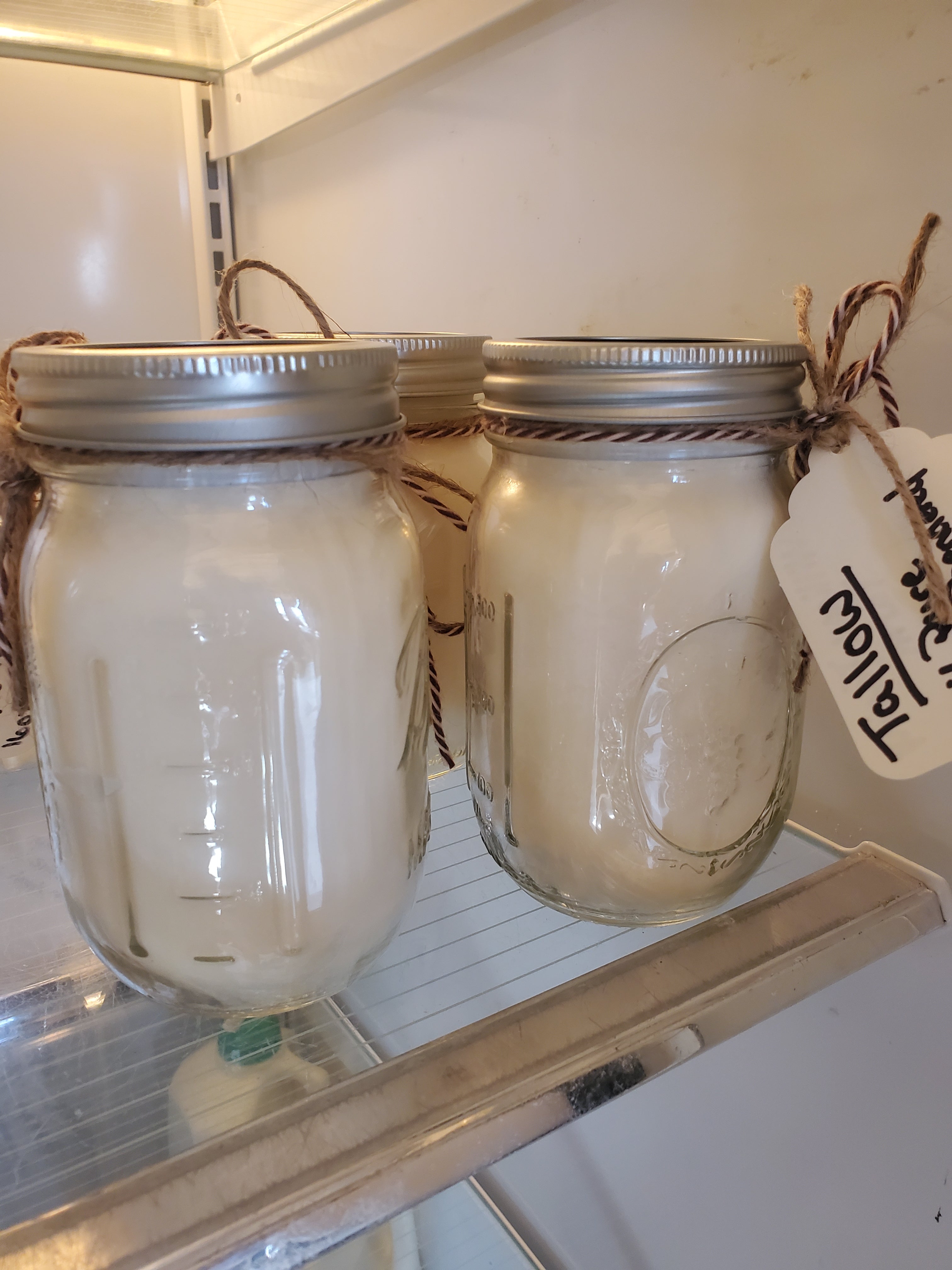 Tallow-16oz