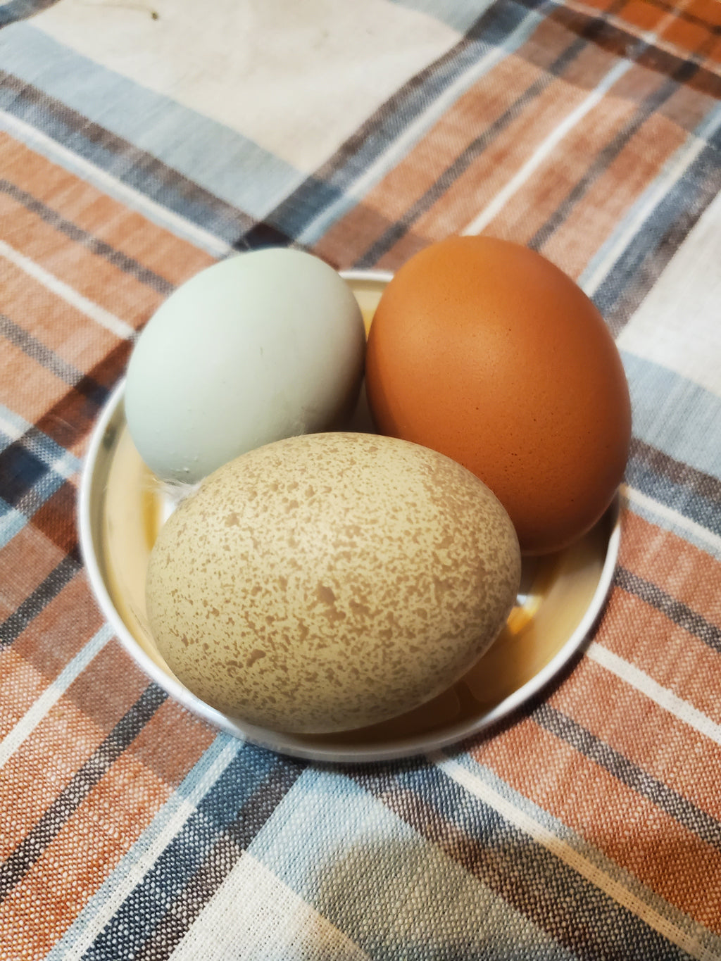 Pasture Raised Eggs-Dozen